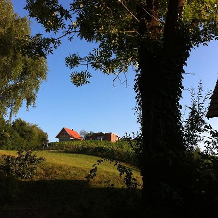 Ferienhaeuser Im Weingarten Fehring 外观 照片