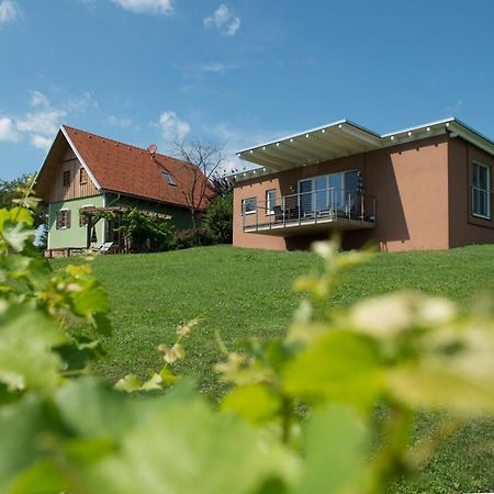 Ferienhaeuser Im Weingarten Fehring 外观 照片