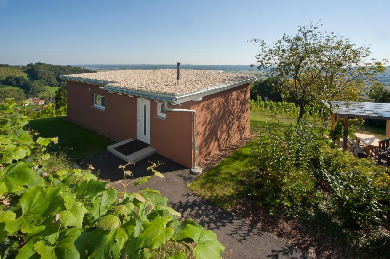 Ferienhaeuser Im Weingarten Fehring 外观 照片
