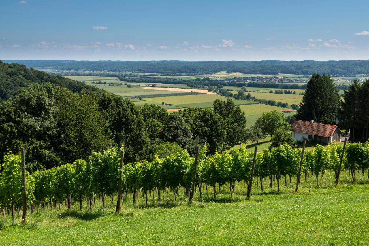 Ferienhaeuser Im Weingarten Fehring 外观 照片